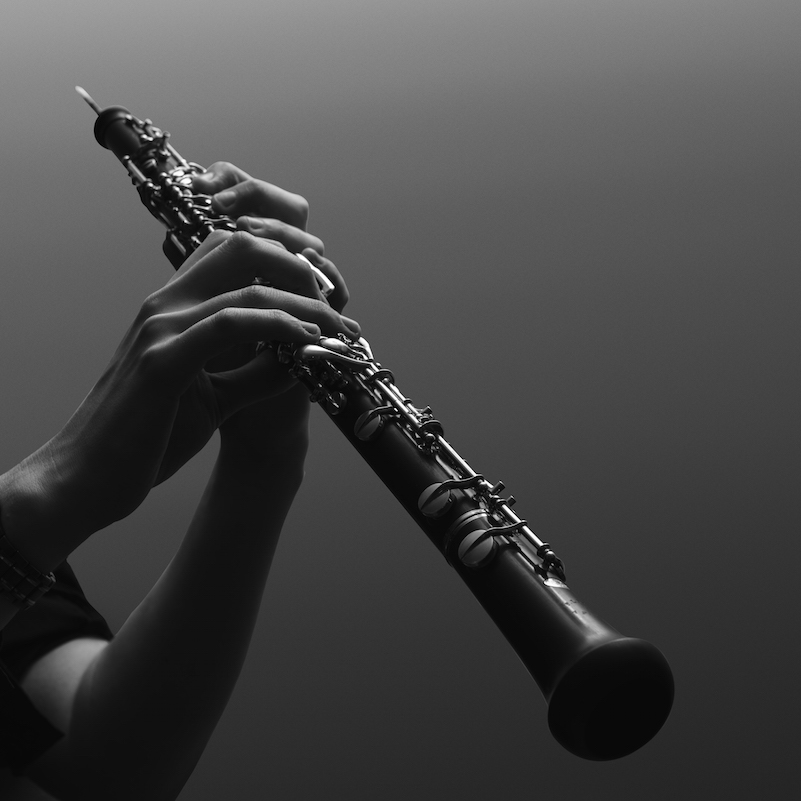 Oboe lessons in Wollongong