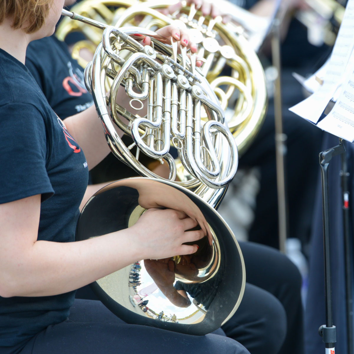 Learn french horn in Wollongong