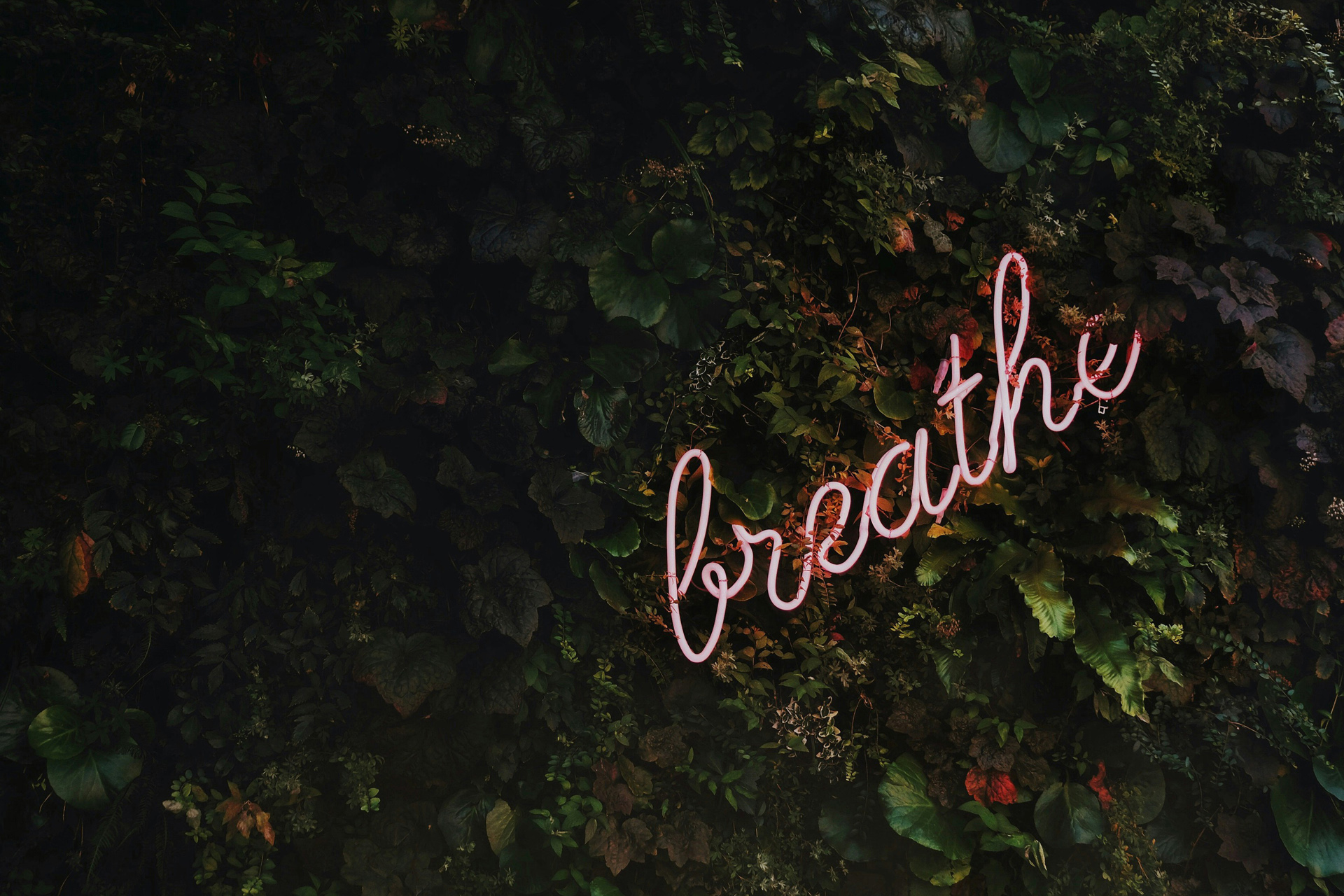 breathe